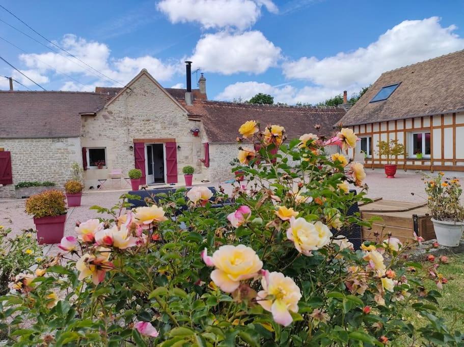 Les Lys Jolie Suite Parentale Privative Deux Adultes Avec Sdd Pertheville-Ners Esterno foto