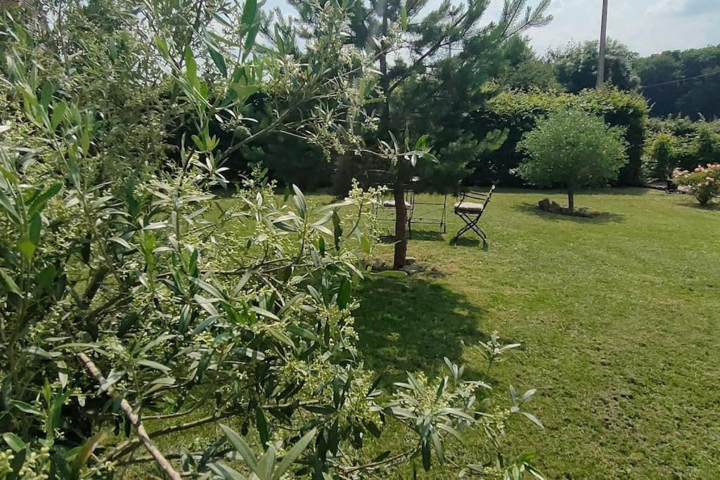 Les Lys Jolie Suite Parentale Privative Deux Adultes Avec Sdd Pertheville-Ners Esterno foto
