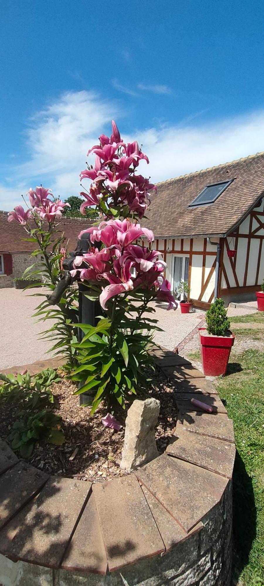 Les Lys Jolie Suite Parentale Privative Deux Adultes Avec Sdd Pertheville-Ners Esterno foto